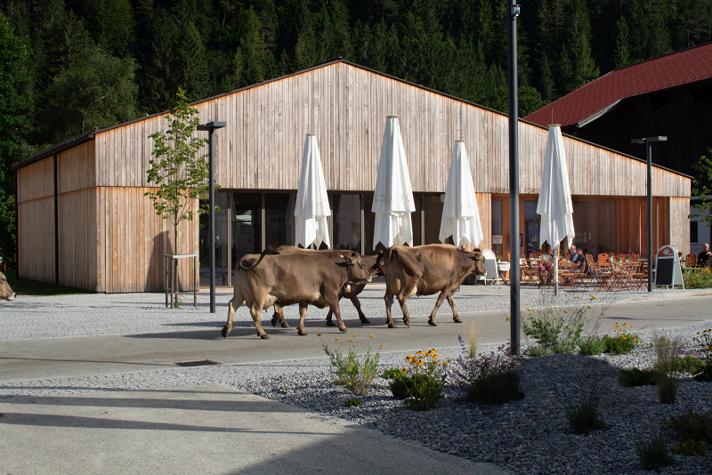 Dorfhaus Forchach