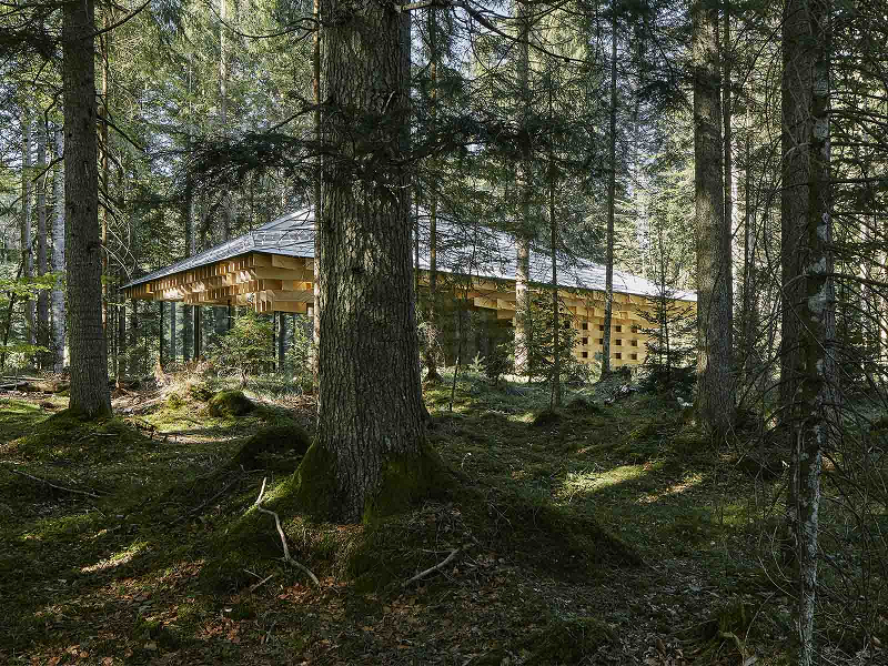 Meditationshaus im Wald