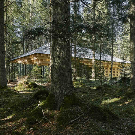 Meditationshaus im Wald